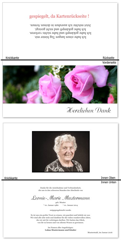 Rosa Rosen, Trauerrosen, Trauerblumen, Trauerblüten. Trauer Danksagung Karten bei Sterbefall, Todesfall, Beerdigung und Trauerfall