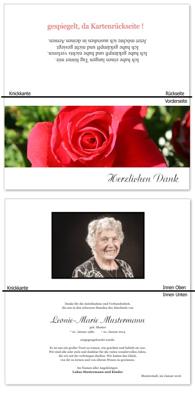 Rosa Rosen, Trauerrosen, Trauerblumen, Trauerblüten. Trauer Danksagung Karten bei Sterbefall, Todesfall, Beerdigung und Trauerfall