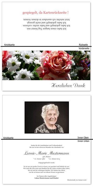 Rosa Rosen, Trauerrosen, Trauerblumen, Trauerblüten. Trauer Danksagung Karten bei Sterbefall, Todesfall, Beerdigung und Trauerfall