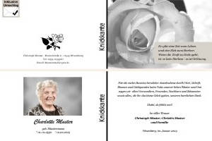 Weiße und rote Rosen, Rosenblüten. Persönliche Trauerdankeskarten nach Trauerfall, Beerdigung und Todesfall