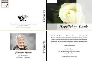 Weiße und rote Rosen, Rosenblüten. Persönliche Trauerdankeskarten nach Trauerfall, Beerdigung und Todesfall