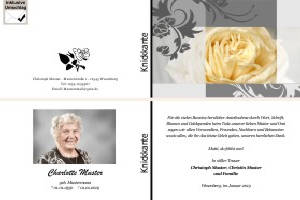 Weiße und rote Rosen, Rosenblüten. Persönliche Trauerdankeskarten nach Trauerfall, Beerdigung und Todesfall